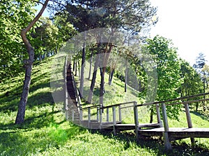 Wooden stairs going on hill top, Lithuania