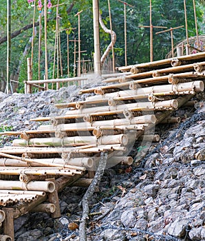 wooden stairs made from bamboo tree brown color. natural material building from tree part