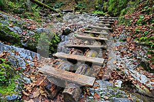 Wooden stairs in mountain gorge Slovensky Raj