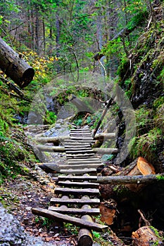 Wooden stairs in mountains