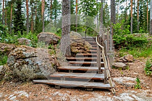 Wooden stairs on nature hiking trail in forest, Finland.