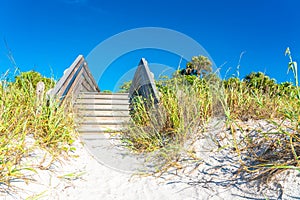 Wooden stairs over sand dune and grass at the beach in Florida USA