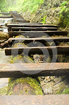 Wooden stairs