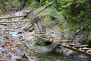 Wooden stairs on pathway in mountain gorge
