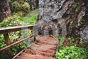 Wooden stairs in the rocky forest