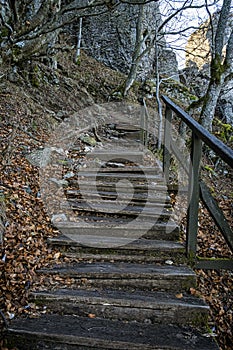 Wooden stairs, Sitno hill, Stiavnica Mountains, Slovakia, seasonal natural scene