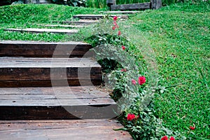 Wooden stairs stairstep staircase in garden