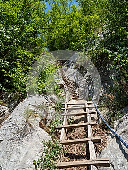 Wooden stairs on the trail to Inelet and Scarisoara hamlets, Romania