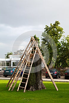 Wooden stairs on a truncated tree trunk photo