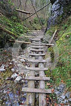 Wooden stairs way over brook in mountain gorge