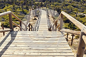 Wooden stairway down to the park on sand dunes