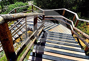 Wooden Stairway in the Park