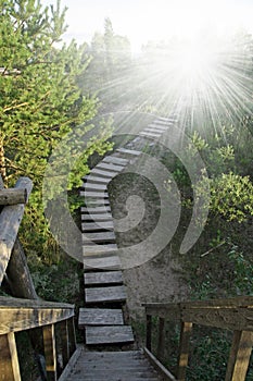 Wooden stairway to heaven