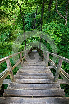 Wooden stairway to mountains forest