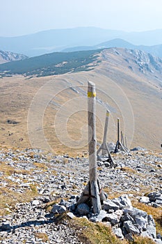 Wooden stakes on the edge, Puchberg am Schneeberg, Austria