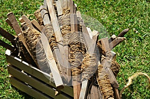 Wooden Stakes