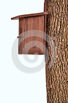 Wooden starling-house on a bole isolated photo