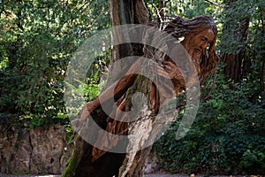 Wooden statue carved out of a tree trunk