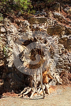 Wooden statue of dragon in Goynuk canyon, Turkey