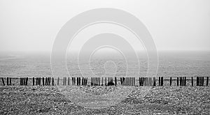 Wooden staves protecting the Beach at Porlock Wier, Somerset photo