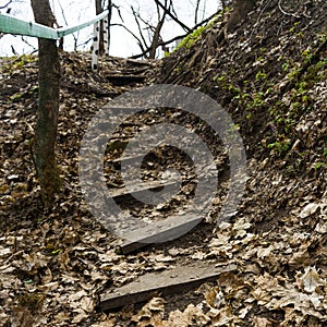 Wooden steps in the ground and railings. Last year`s fallen leaves. Stairs in the forest.