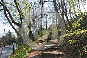 Wooden steps on the hill leading to the Butcher`s tower in Sighisoara