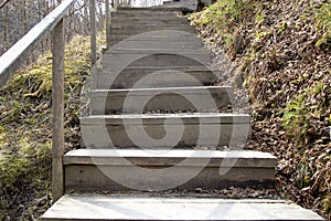 The wooden steps of the stairs that lead up. It rises from the spring, which beats in the woods