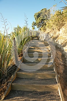Wooden steps on track up Mount Maunganui