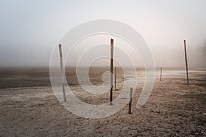 Wooden stick in sand dry pond ground under misty fog at sunset. Apocalyptic, horror, tranquil czech landscape