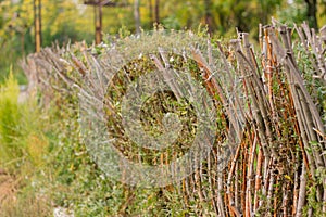 Wooden sticks fence background texture.