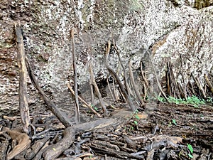 Wooden Sticks shoring the big rock,wood stacked holding the mountain at waterfall