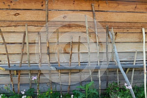 Wooden sticks to scare away snakes