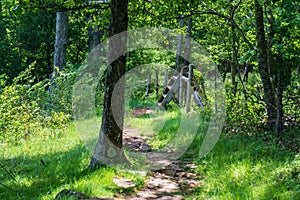 Wooden Stile Crossing a Fence in a Mountain Meadow