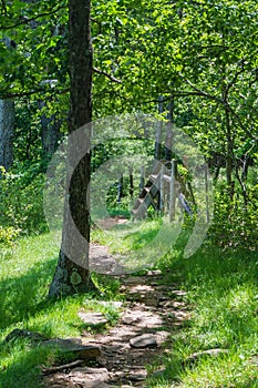 Wooden Stile Crossing a Fence in a Mountain Meadow