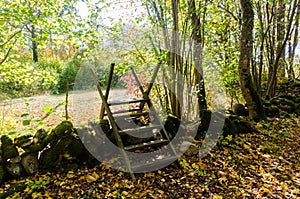 Wooden stile crossing an old stone wall by a trail in fall season