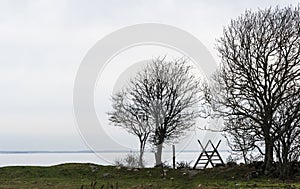 Wooden stile and tree silhouettes