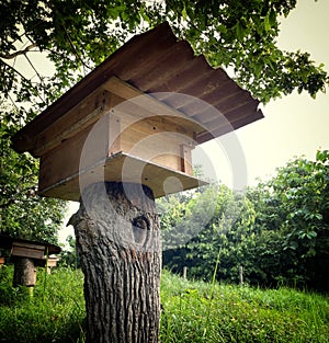 A wooden stingless bee house in closed up