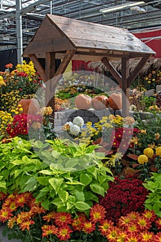 Wooden and Stone Wishing Well with pumpkins and surrounded by a beautiful flower display.