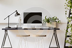 Wooden stools at desk with lamp, desktop computer and plant in white workspace interior. Real photo