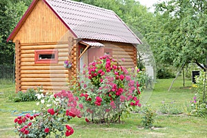 Wooden structure - banya Russian sauna on a backyard of a village house.