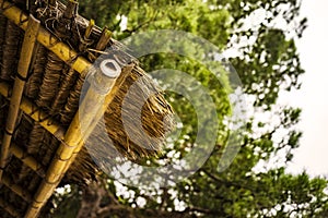 Wooden structure made with a bamboo