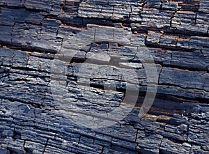 Wooden structure, old tree