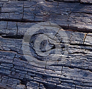 Wooden structure, old tree