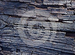 Wooden structure, old tree
