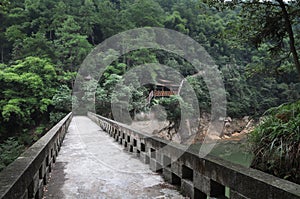 Wooden structure promenade in forest