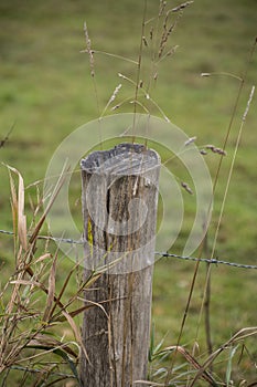 Wooden stump fence post holding up an old rusted metal wired fence along the edge of a farm