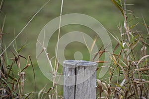 Wooden stump fence post holding up an old rusted metal wired fence along the edge of a farm