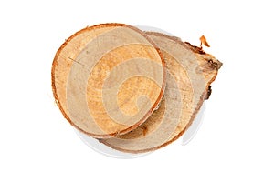 Wooden stump isolated on the white background. Round cut down tree with annual rings as a wood texture