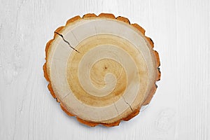 Wooden stump on the white background. Round cut down tree with annual rings as a wood texture