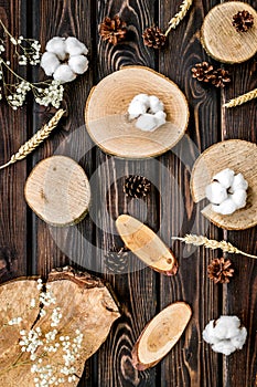 Wooden stumps, immortelle and pine cones for blog background top view pattern